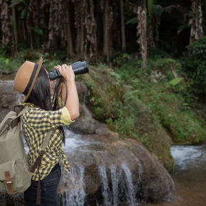 Wildlife Safaris